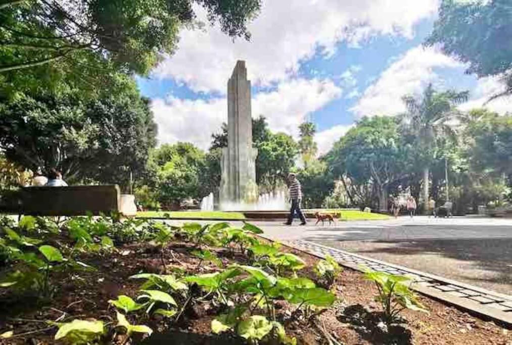 圣克鲁斯-德特内里费Atico Centro De Sc, Vistas, Aire Acondicionado!!!公寓 外观 照片
